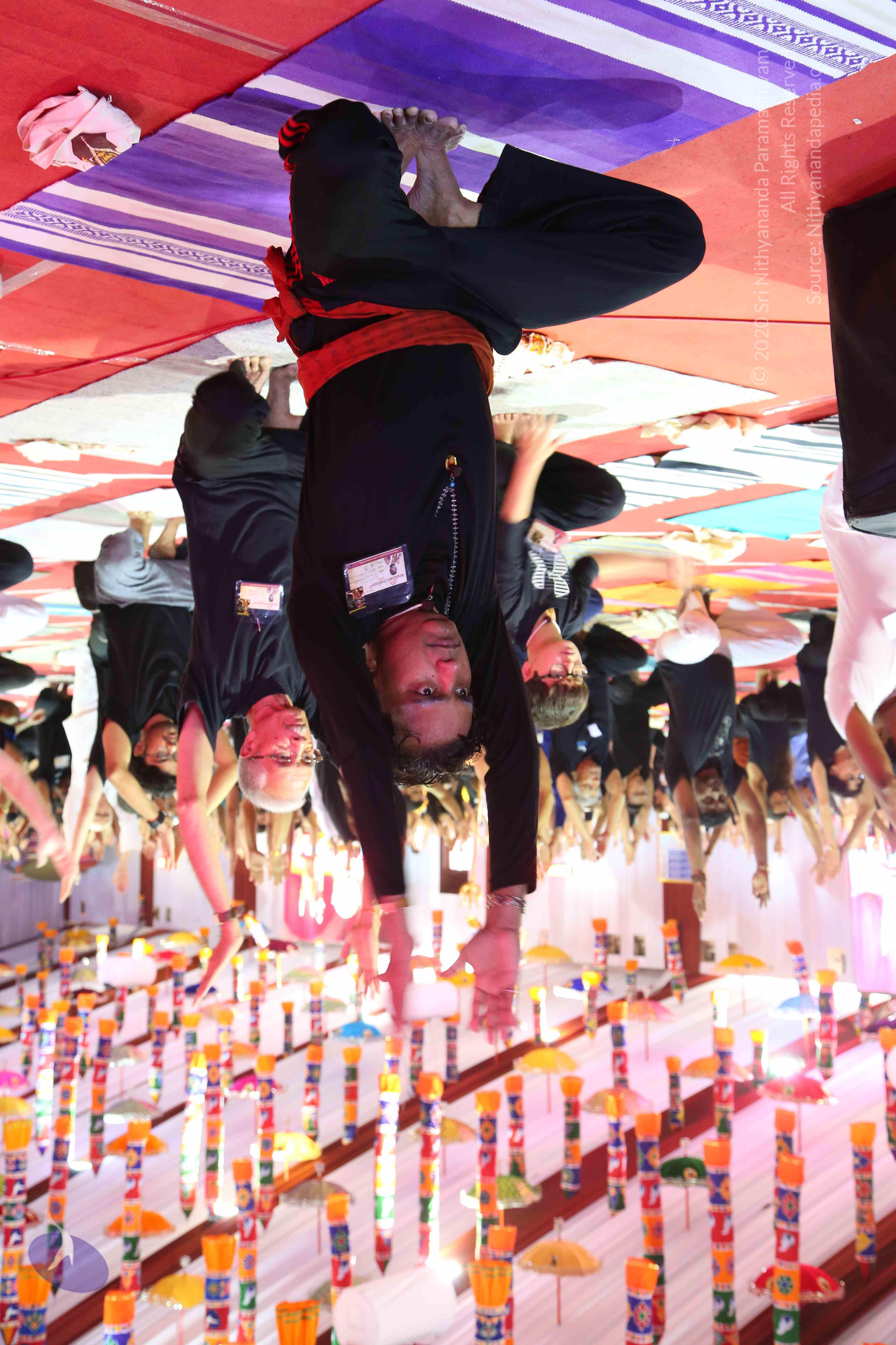 20161204_Photo_1006_IMGL4582_CMP_WM